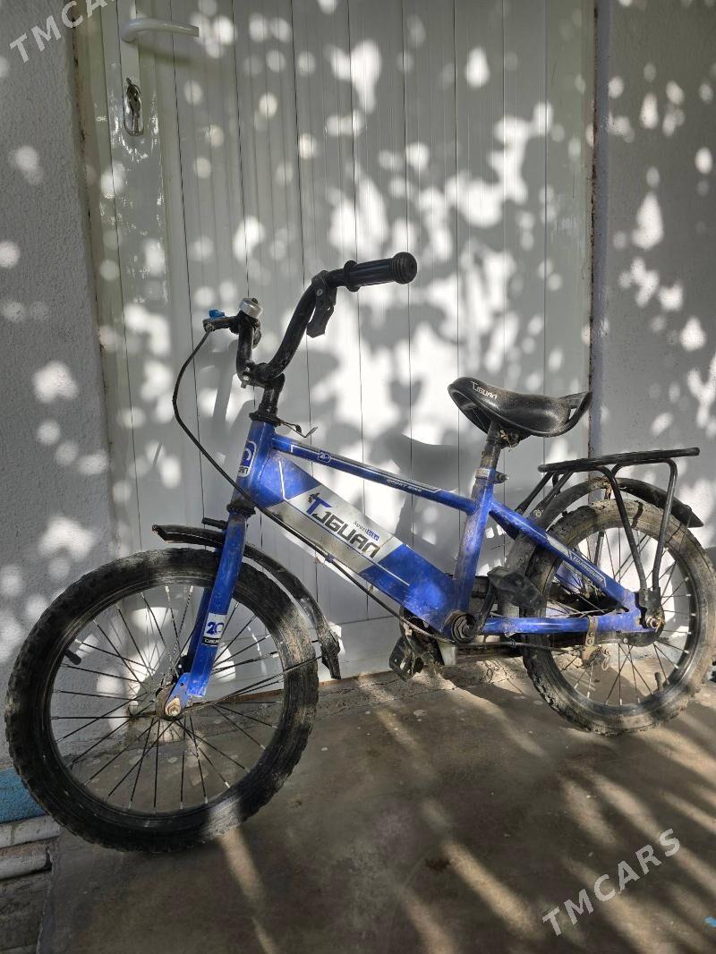 tigir - Багир - img 2