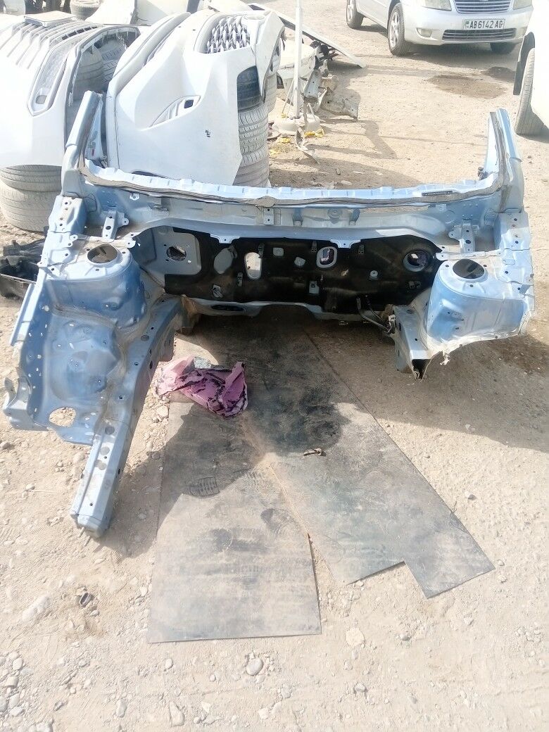 KAROL haliji 2014 2015 k 3 000 TMT - Бедев - img 1