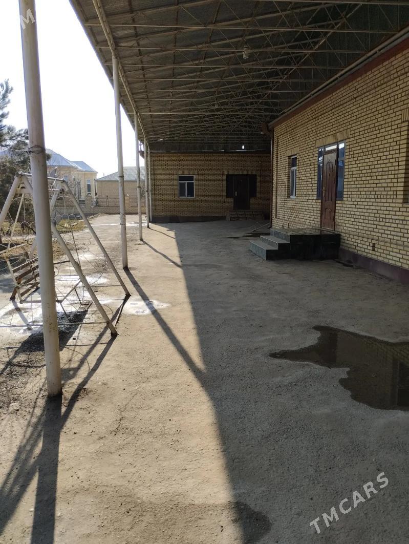 Satlyk jay - Мары - img 3