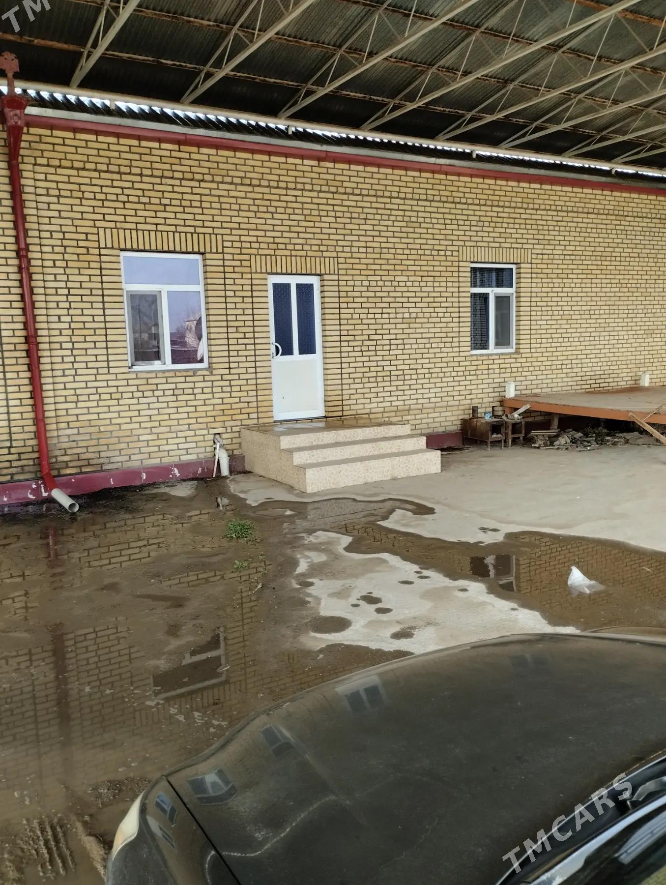 Satlyk jay - Мары - img 2