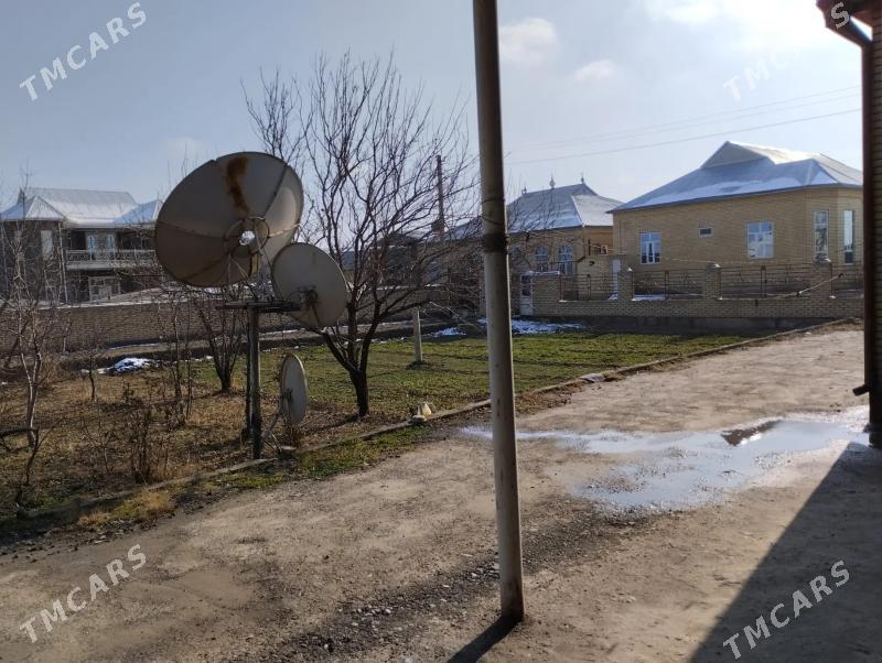 Satlyk jay - Мары - img 6