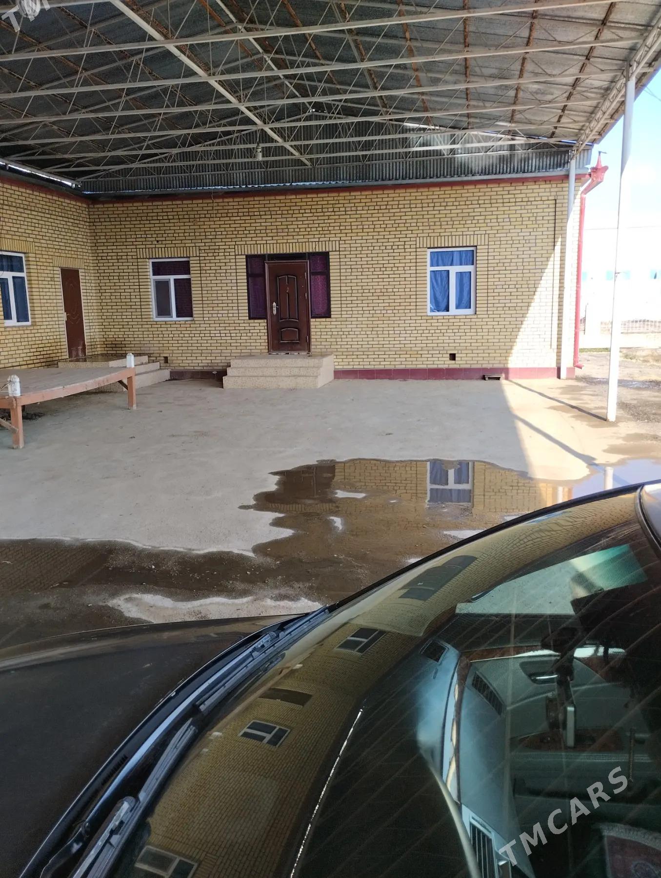 Satlyk jay - Мары - img 4