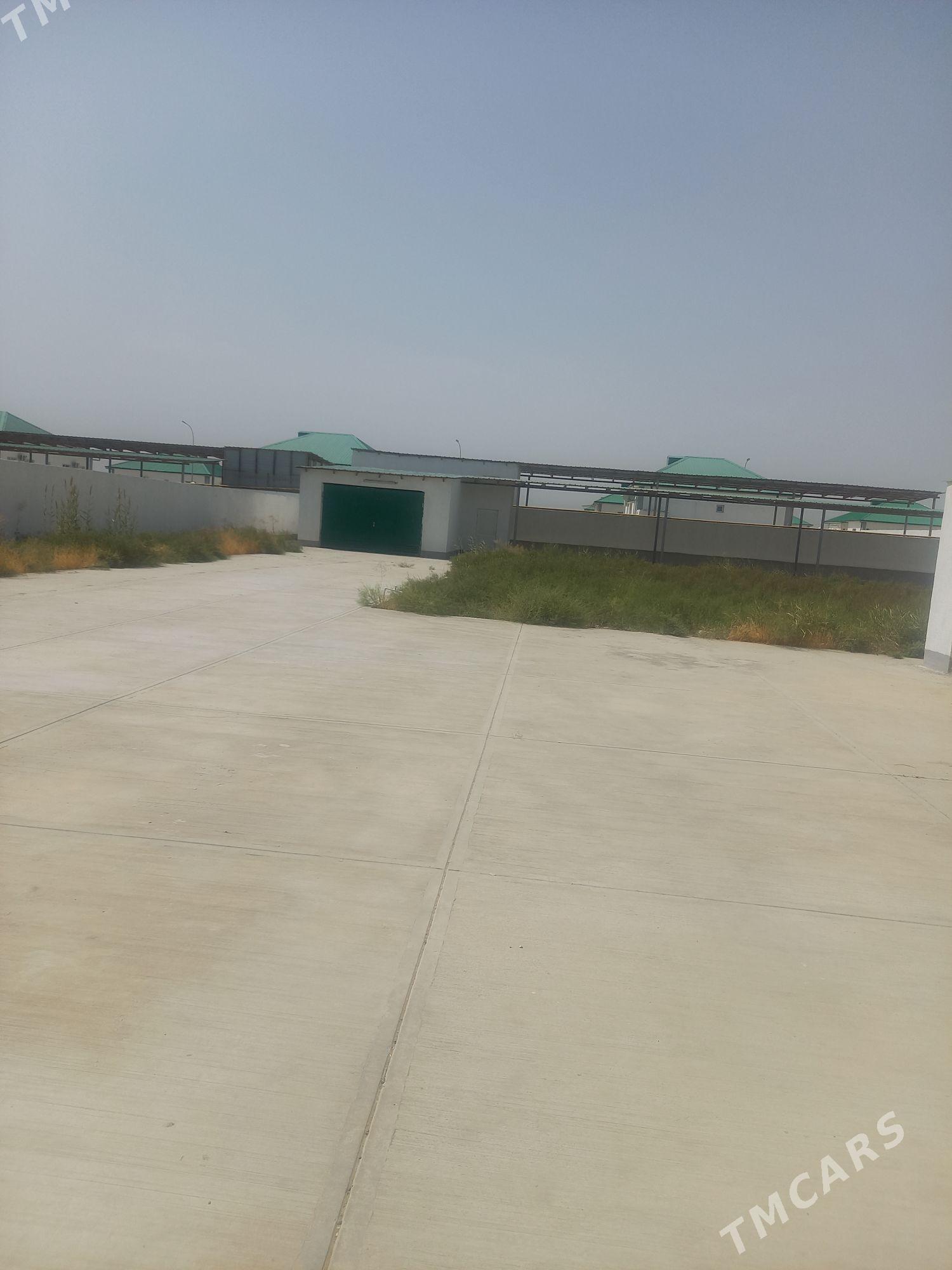 Gokdepe plon jay - Гёкдепе - img 4