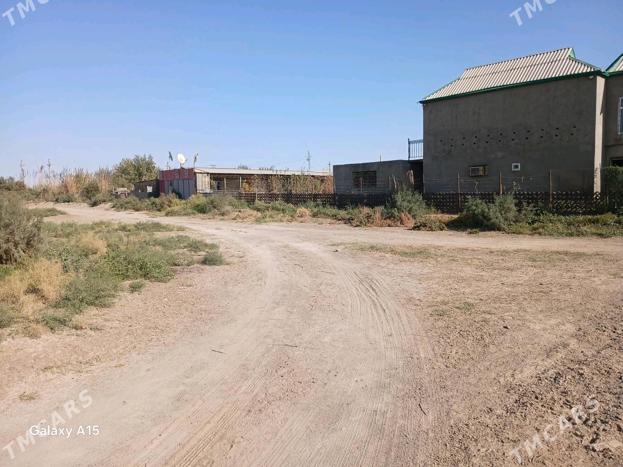 Mellek ver - Mary - img 2