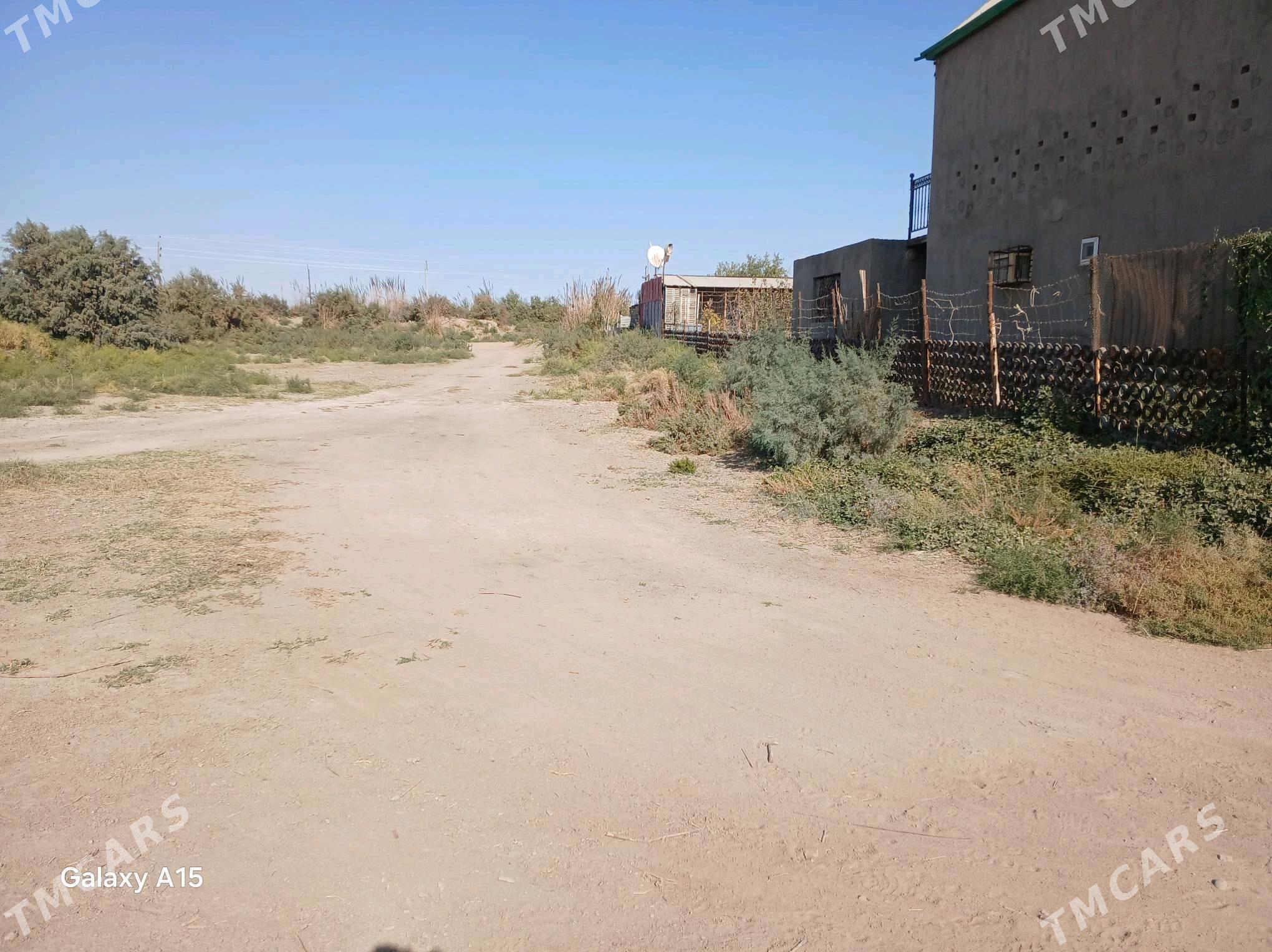 Mellek ver - Mary - img 3