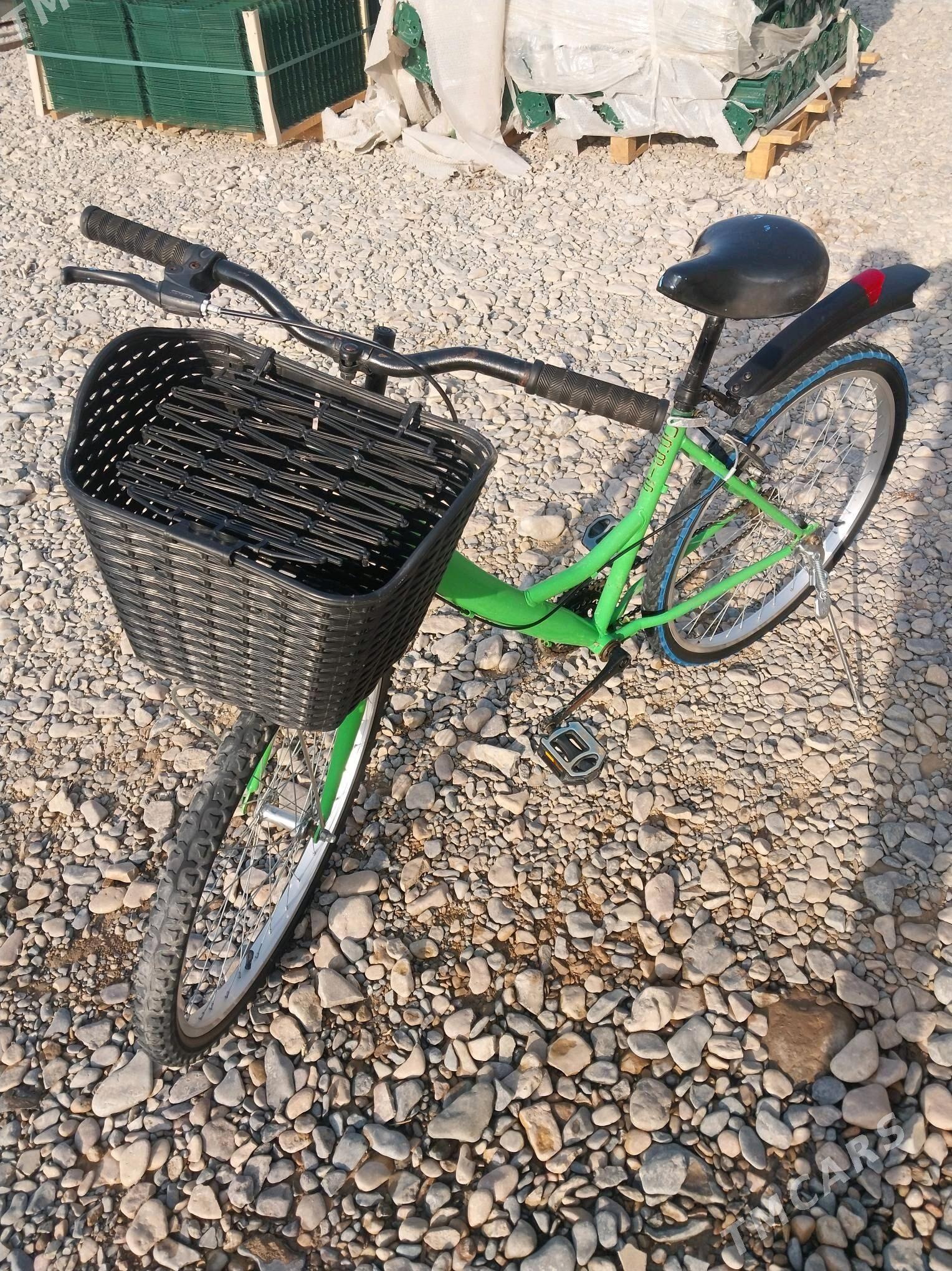 tigir - Tejen - img 2