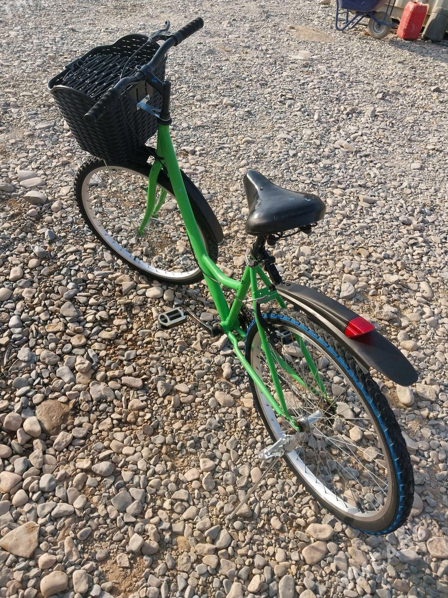 tigir - Tejen - img 1