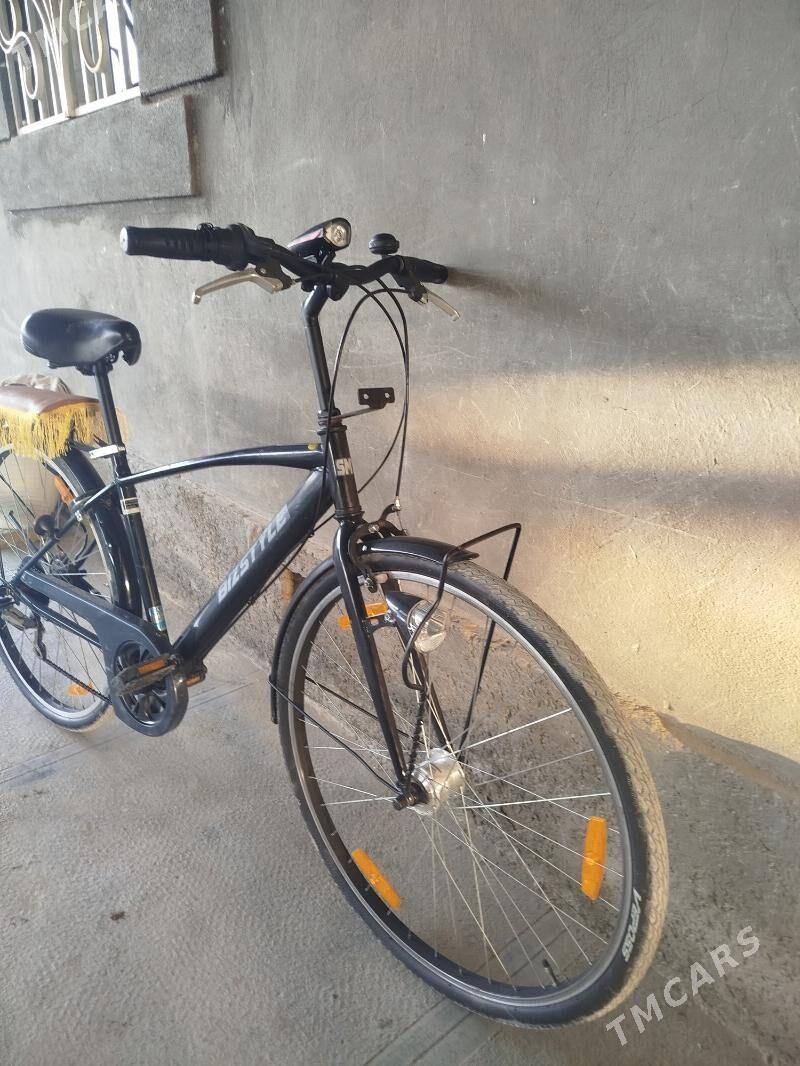 Tiger - Мары - img 4