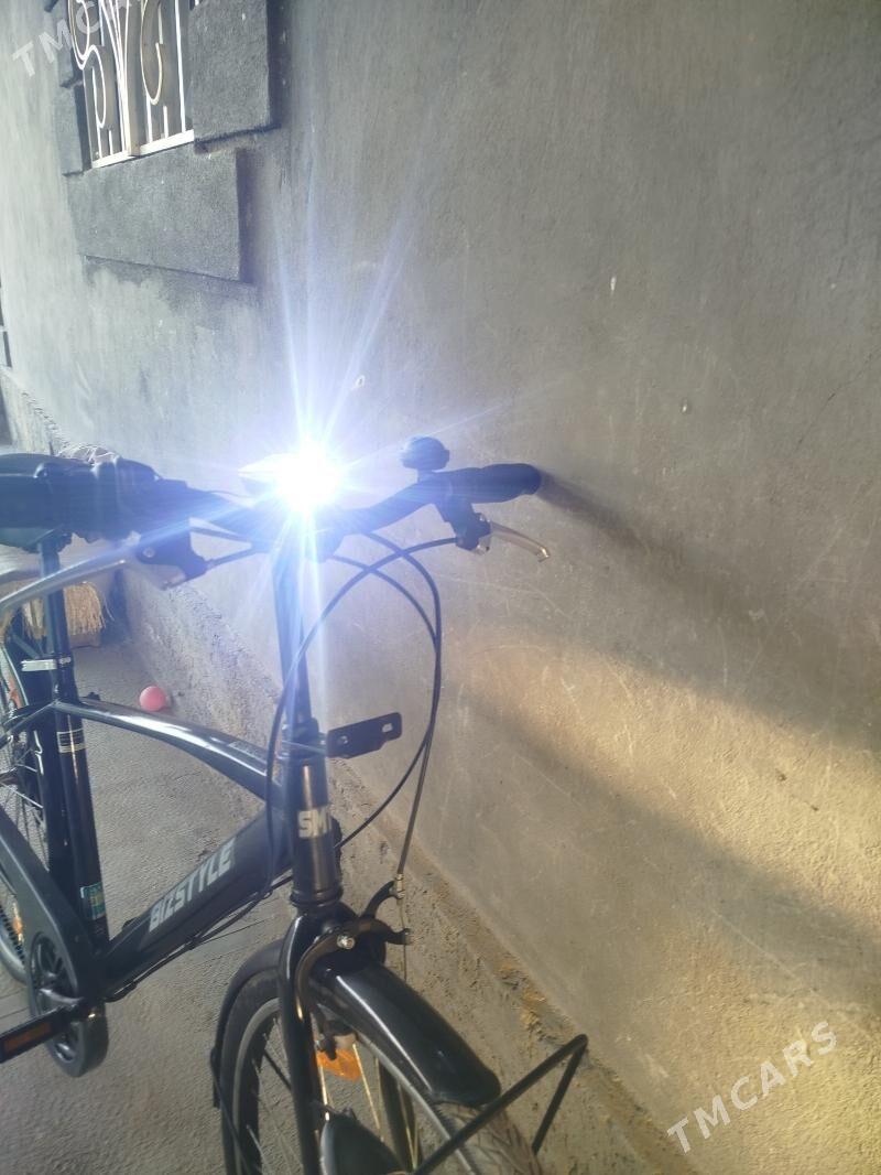 Tiger - Мары - img 2