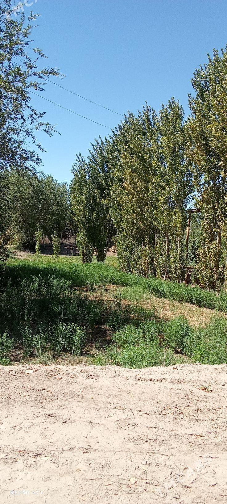 satlyk jaý - Акдепе - img 3