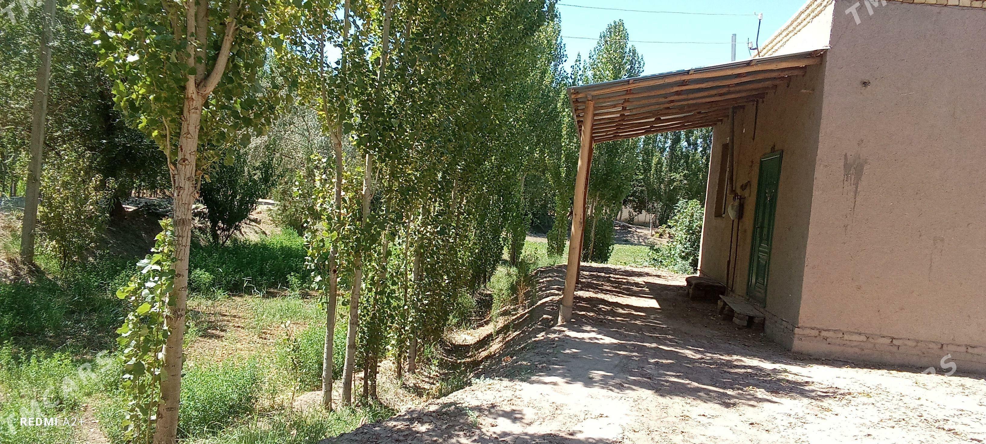 satlyk jaý - Акдепе - img 2