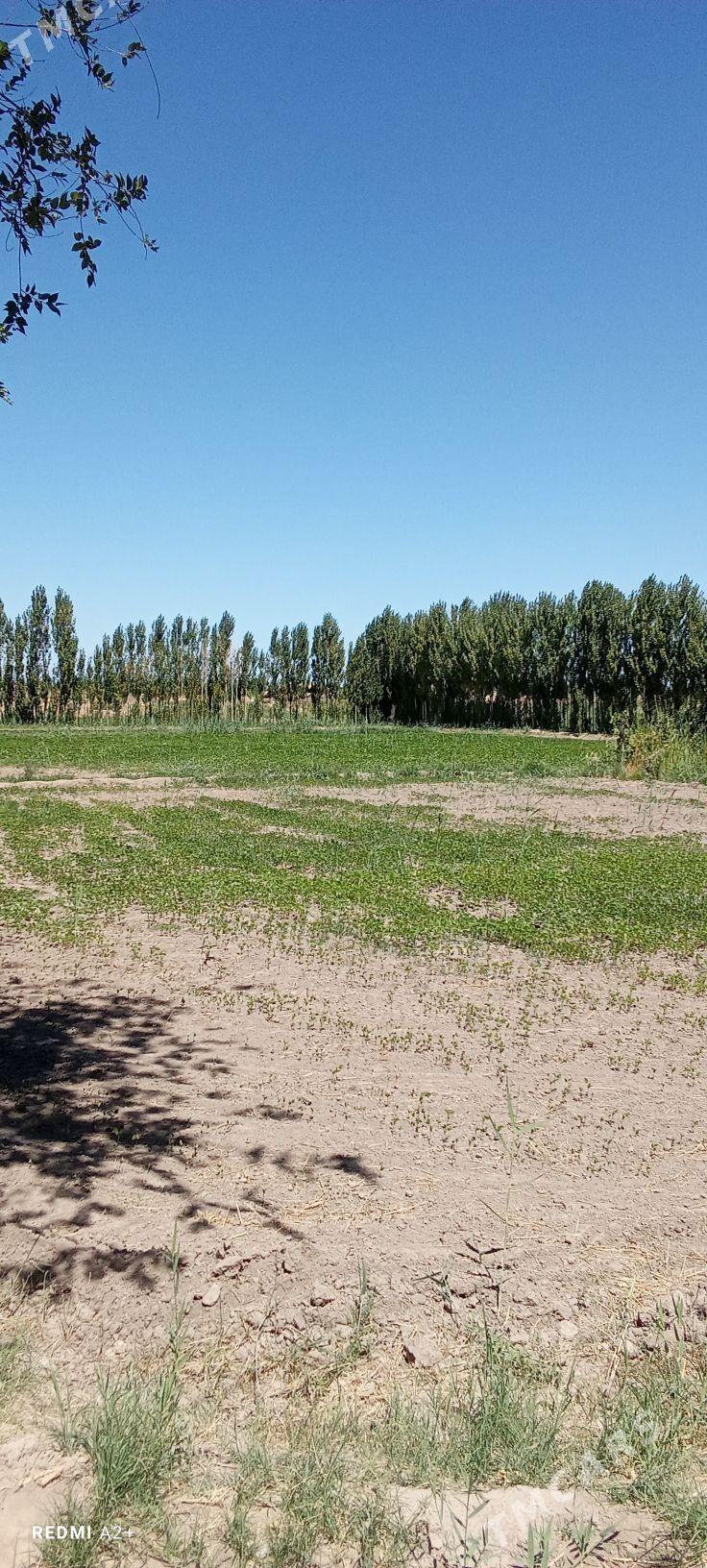 satlyk jaý - Акдепе - img 5