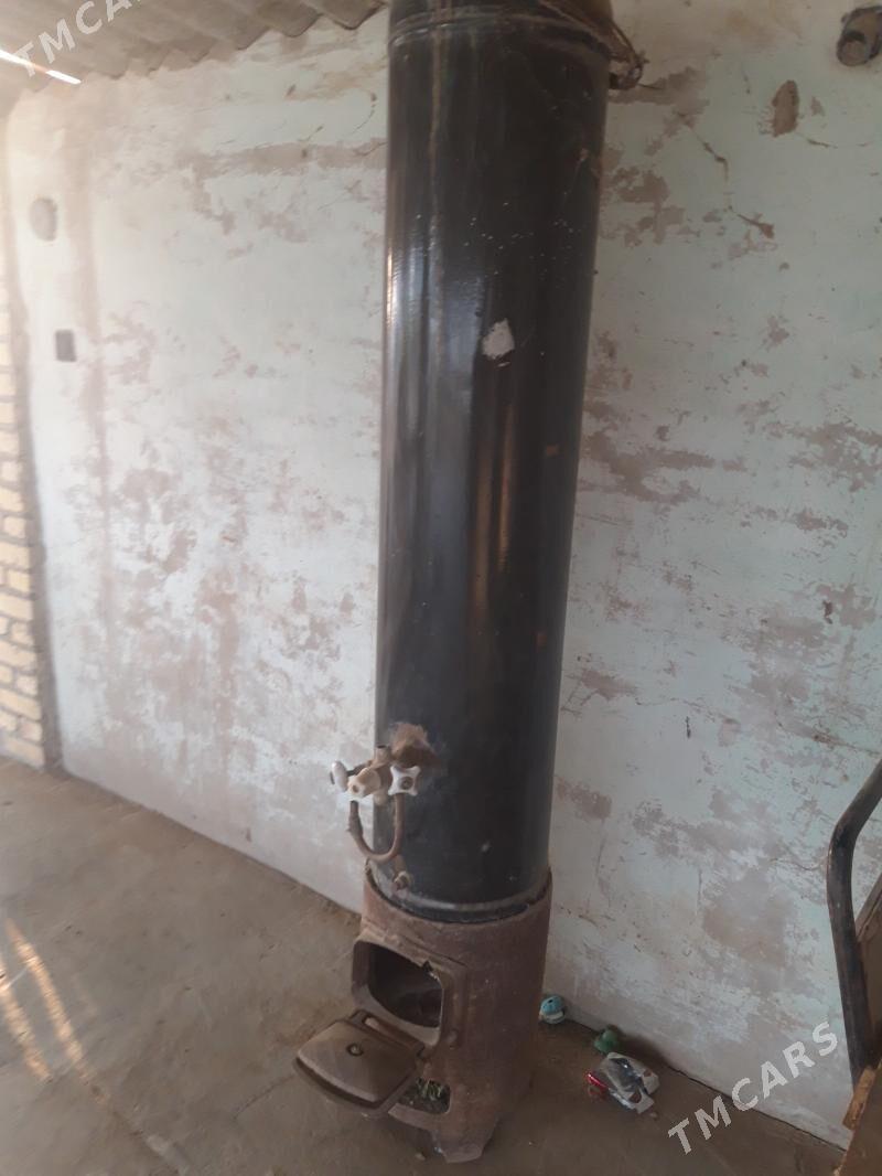 Титан тазе дуран - Sakarçäge - img 2