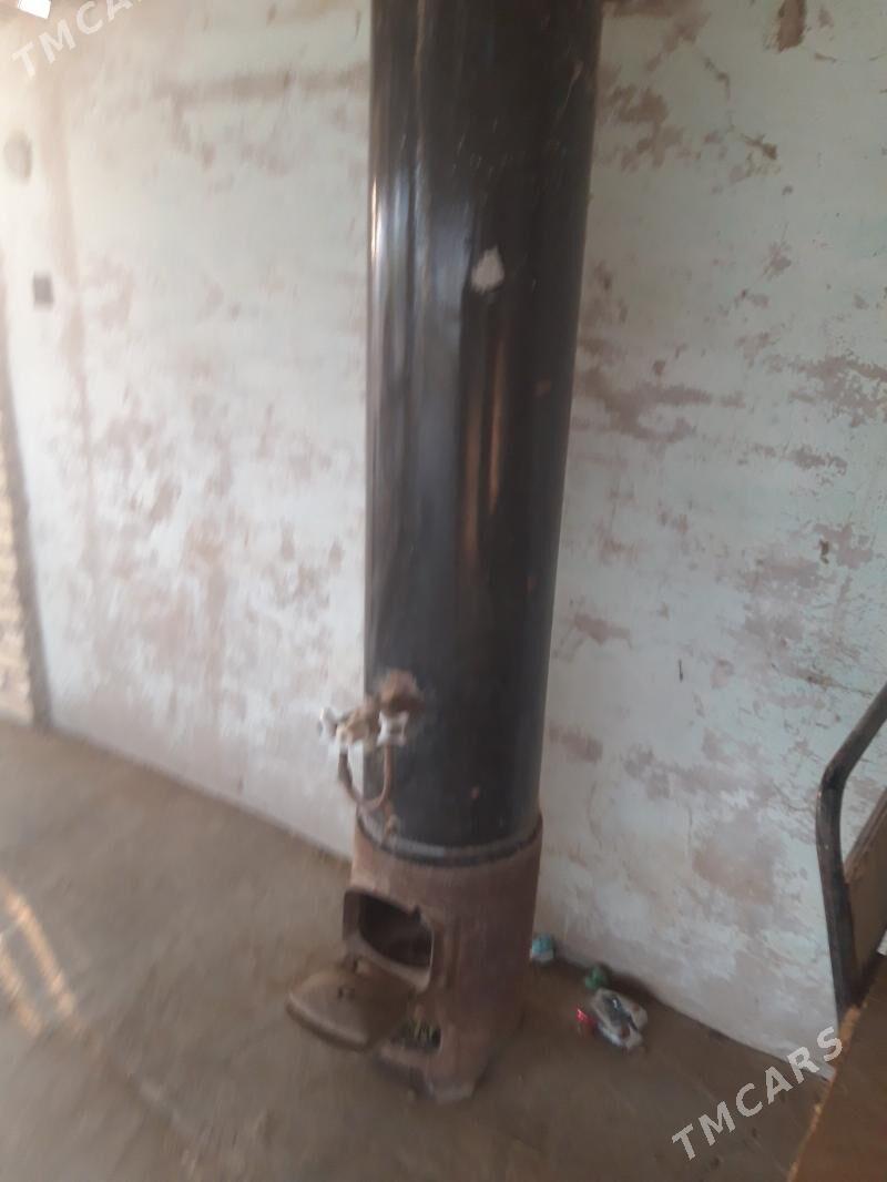 Титан тазе дуран - Sakarçäge - img 1