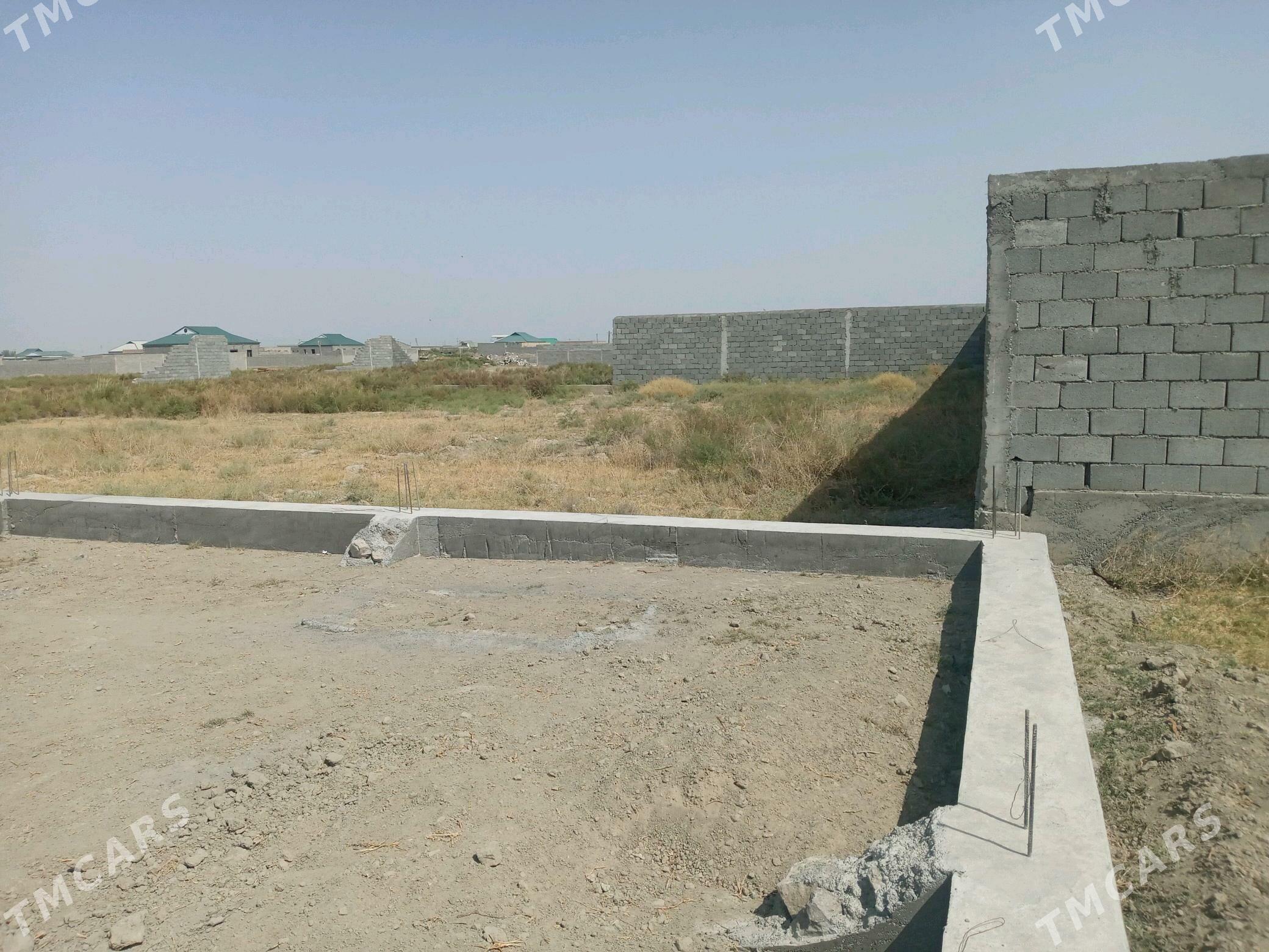 kelejar mellek ýer - Гёкдепе - img 9