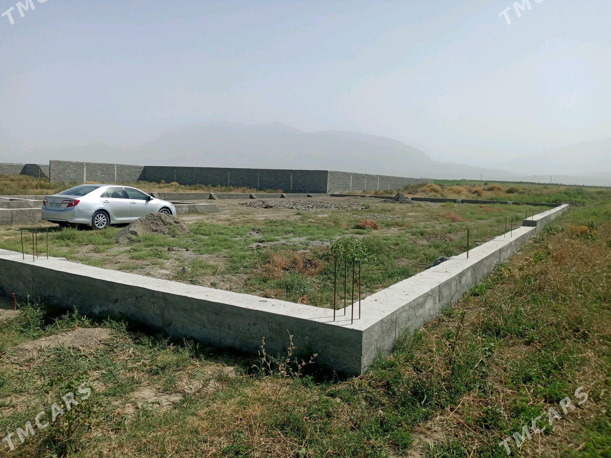 kelejar mellek ýer - Гёкдепе - img 2