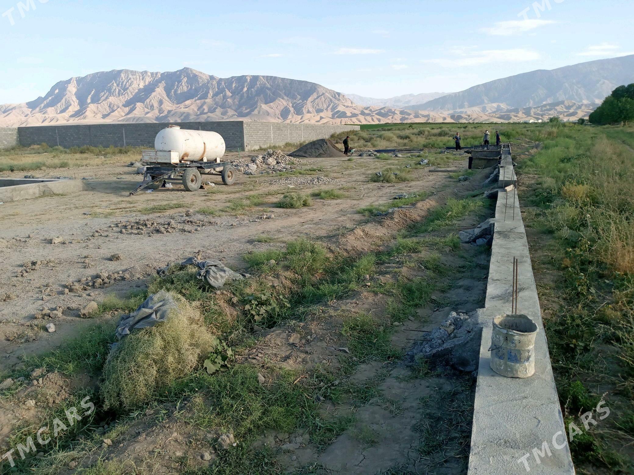 kelejar mellek ýer - Гёкдепе - img 10