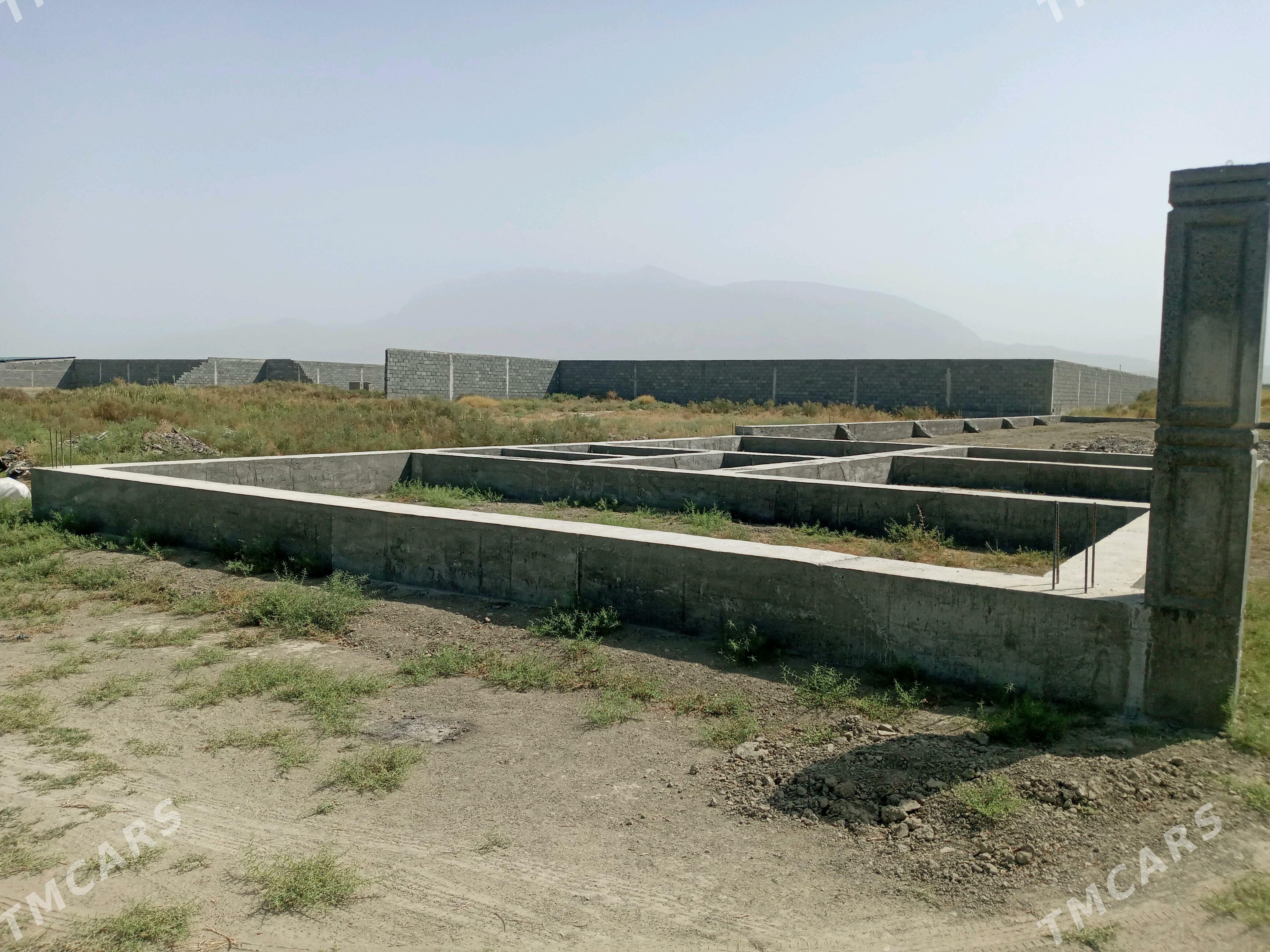 kelejar mellek ýer - Гёкдепе - img 5