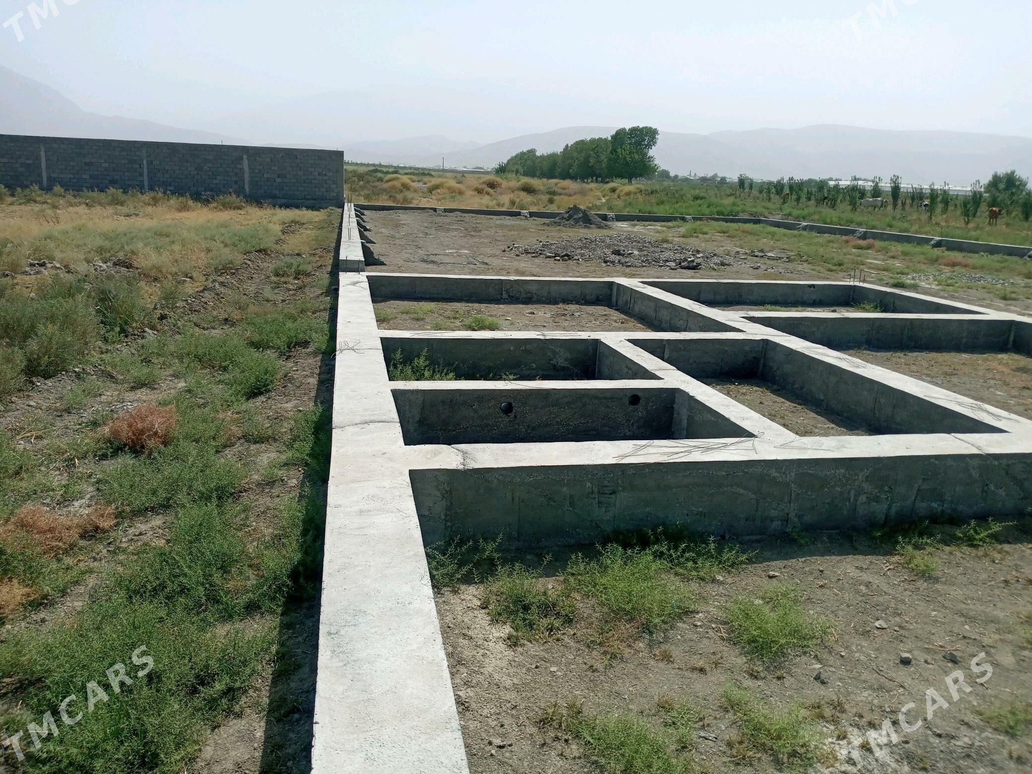 kelejar mellek ýer - Гёкдепе - img 3