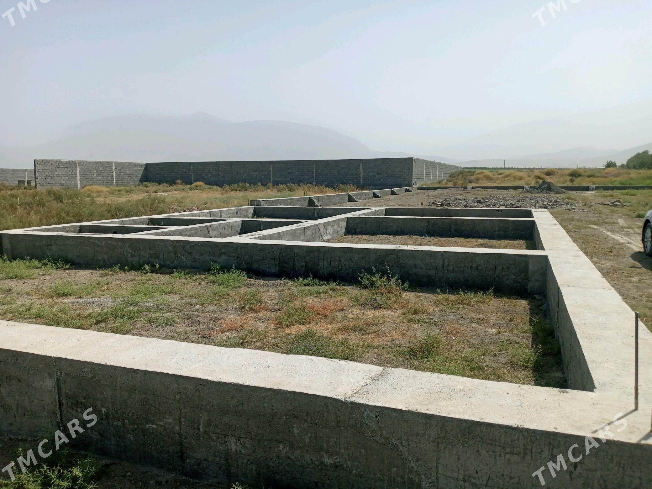 kelejar mellek ýer - Гёкдепе - img 4