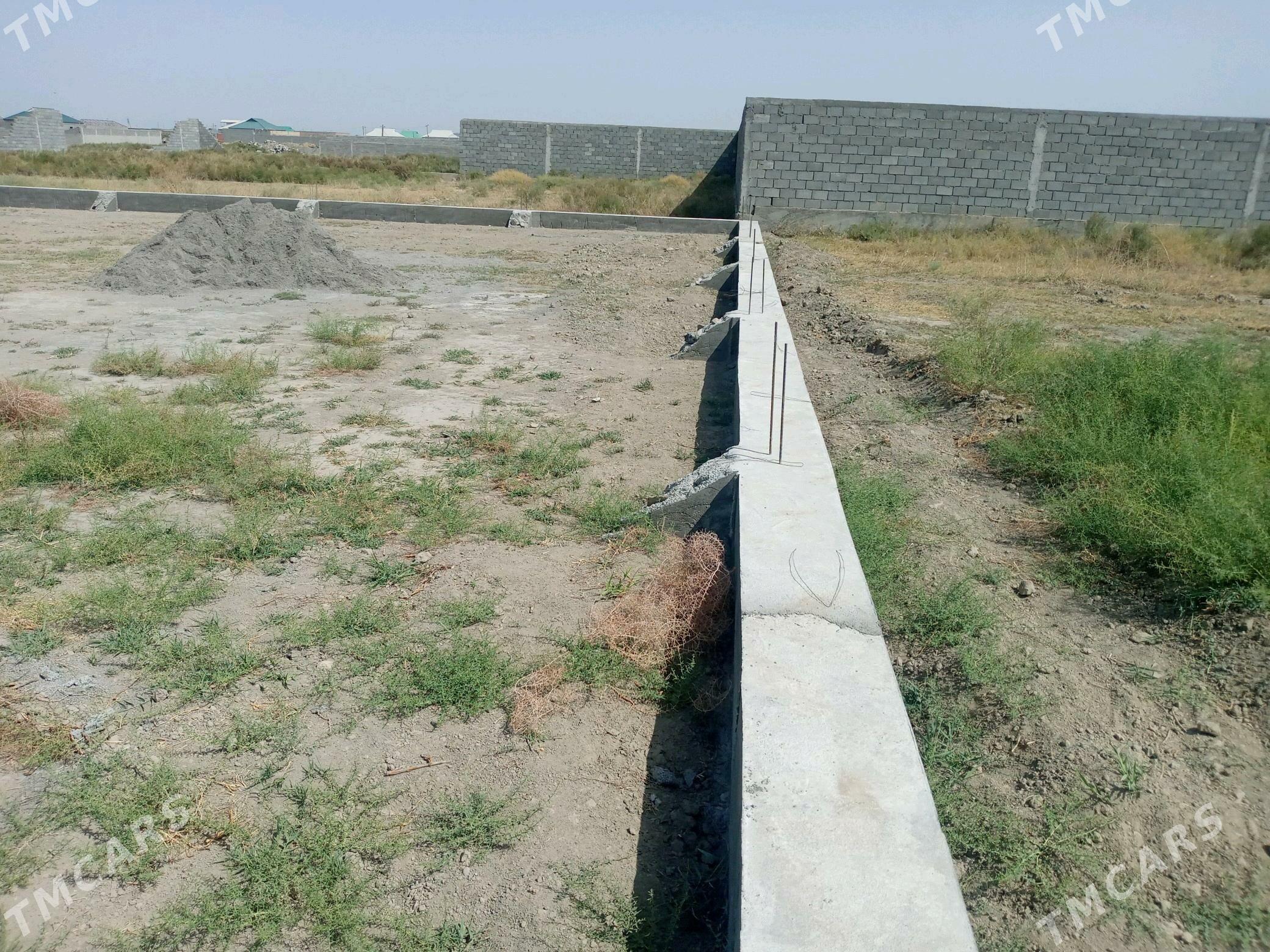 kelejar mellek ýer - Гёкдепе - img 8