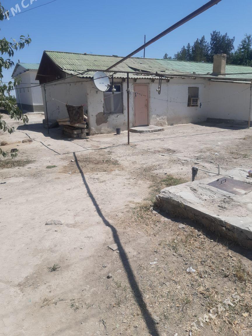 Änew Gäwers Bereketl - Ак-Бугдайский этрап - img 2