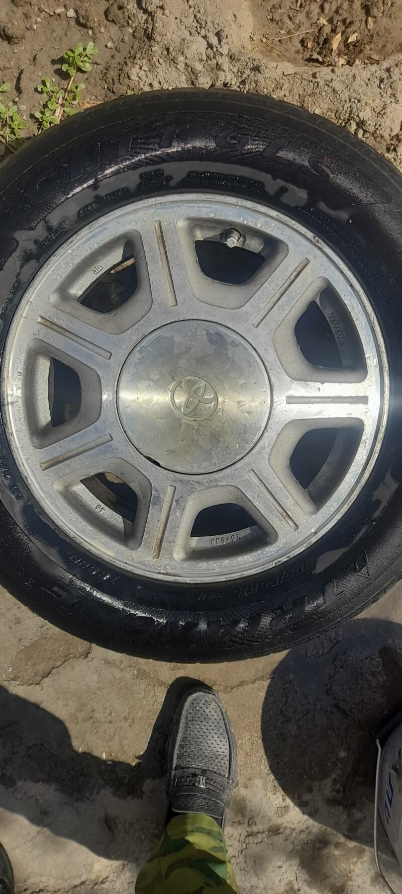 96 awalon diska 1 ştuk 700 TMT - Murgap - img 1