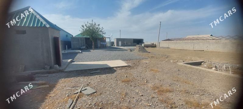 satlyk jay - Гёкдепе - img 4