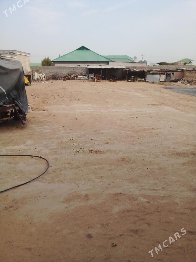 Satlyk jay yer - Анев - img 2