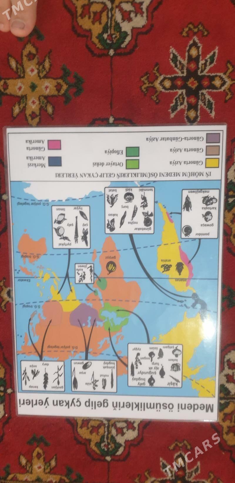 Gorkezme esbaplar - Çoganly - img 1