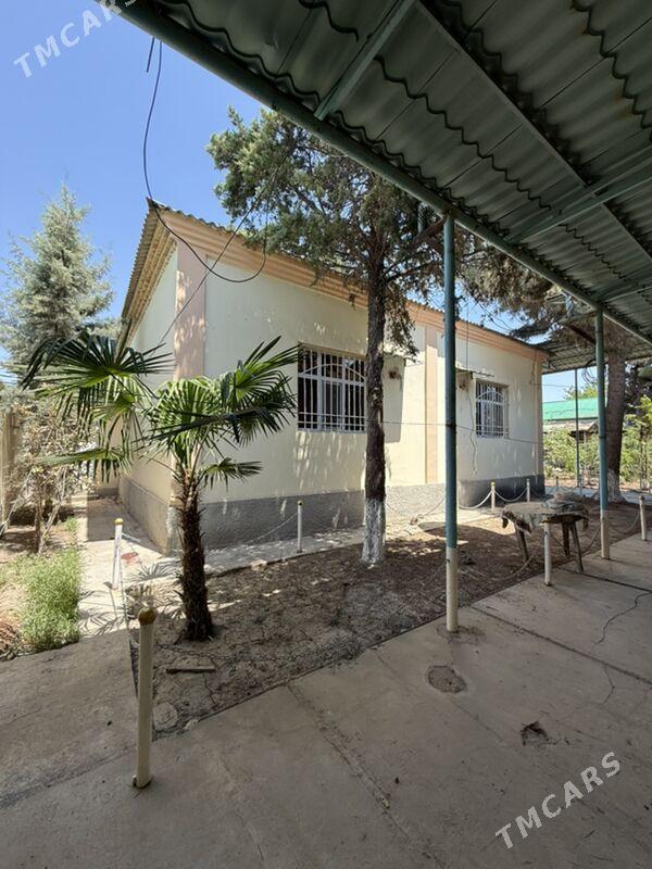 Bekrewe 10 sotok plan dom - Aşgabat - img 4