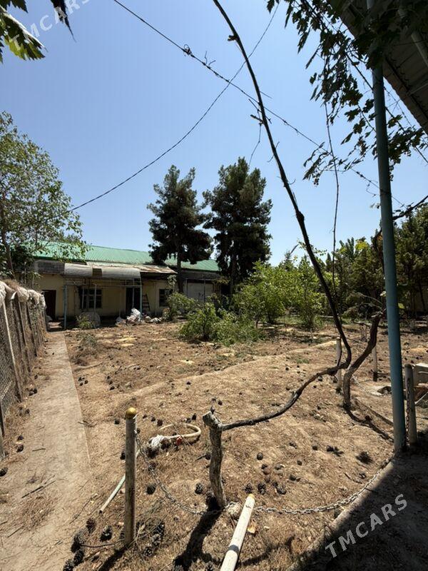 Bekrewe 10 sotok plan dom - Aşgabat - img 10