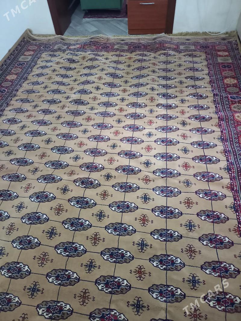 Haly - Туркменбаши - img 1