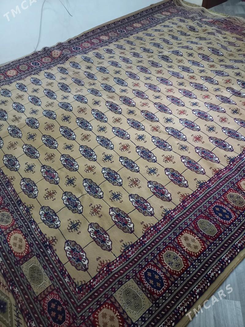 Haly - Туркменбаши - img 2