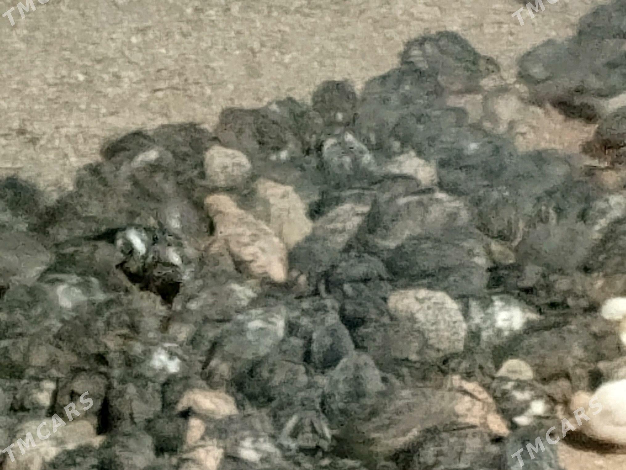 Bedene - Änew - img 2