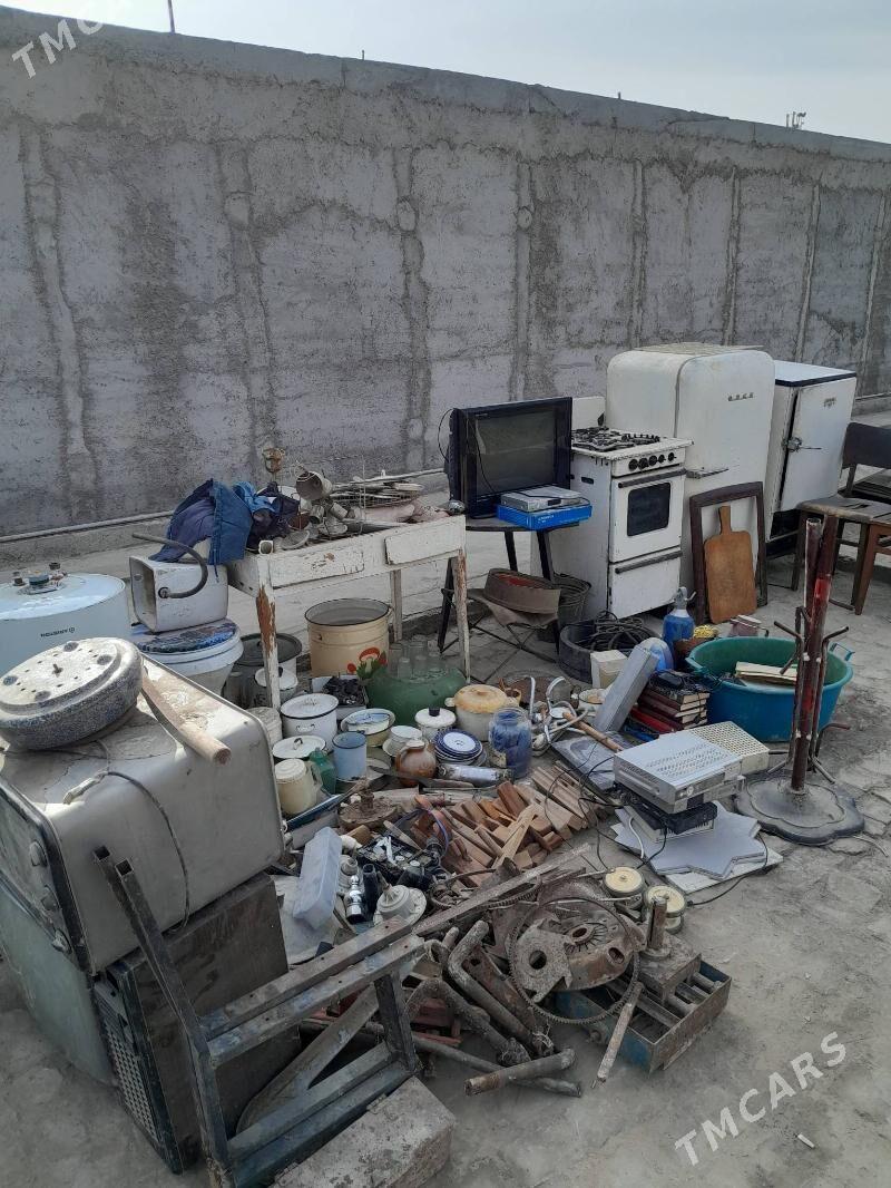 oy goslar - Mary - img 3