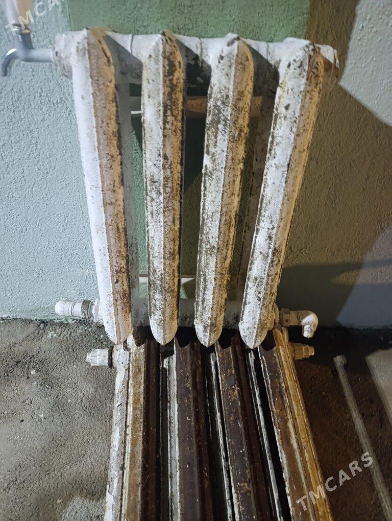 Batareý - Багир - img 1