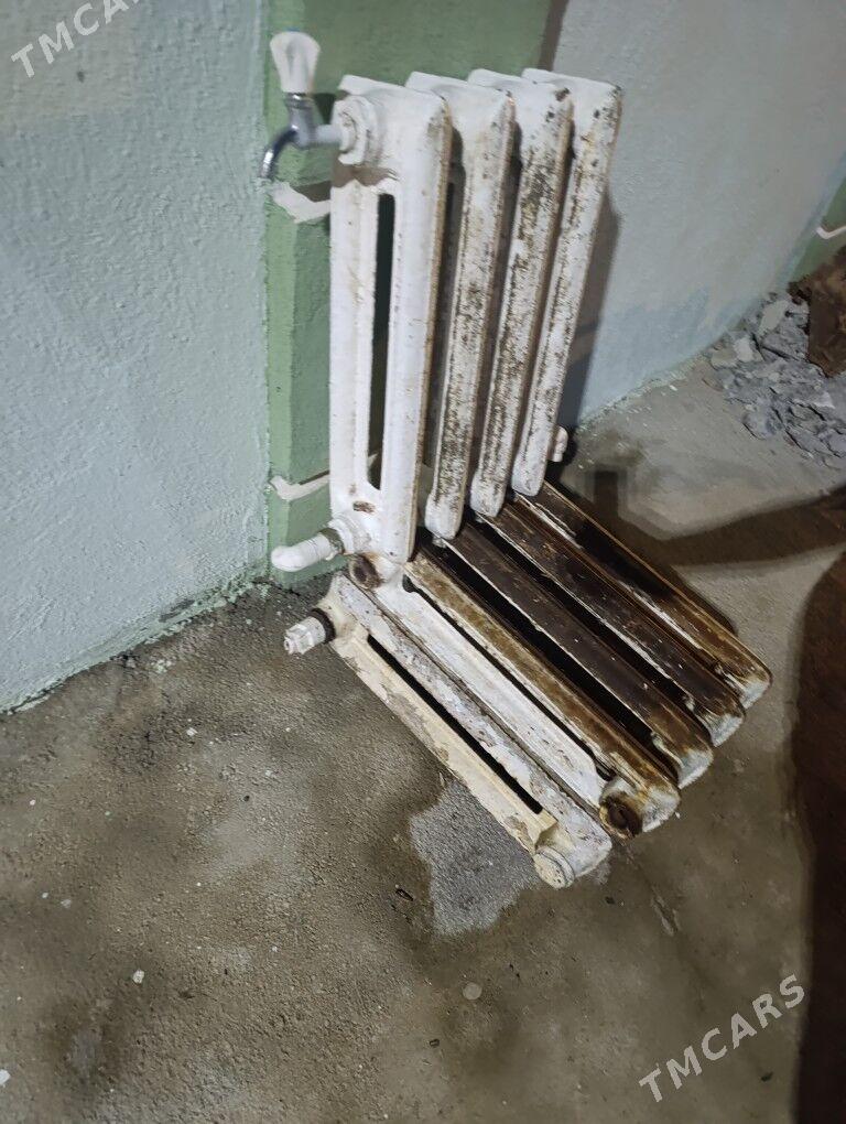 Batareý - Багир - img 3