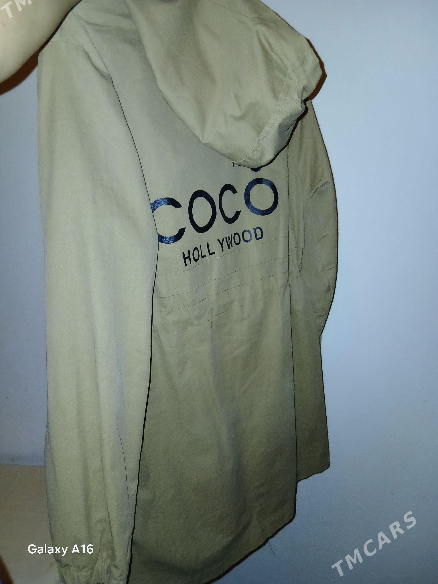 Plaş - Daşoguz - img 2