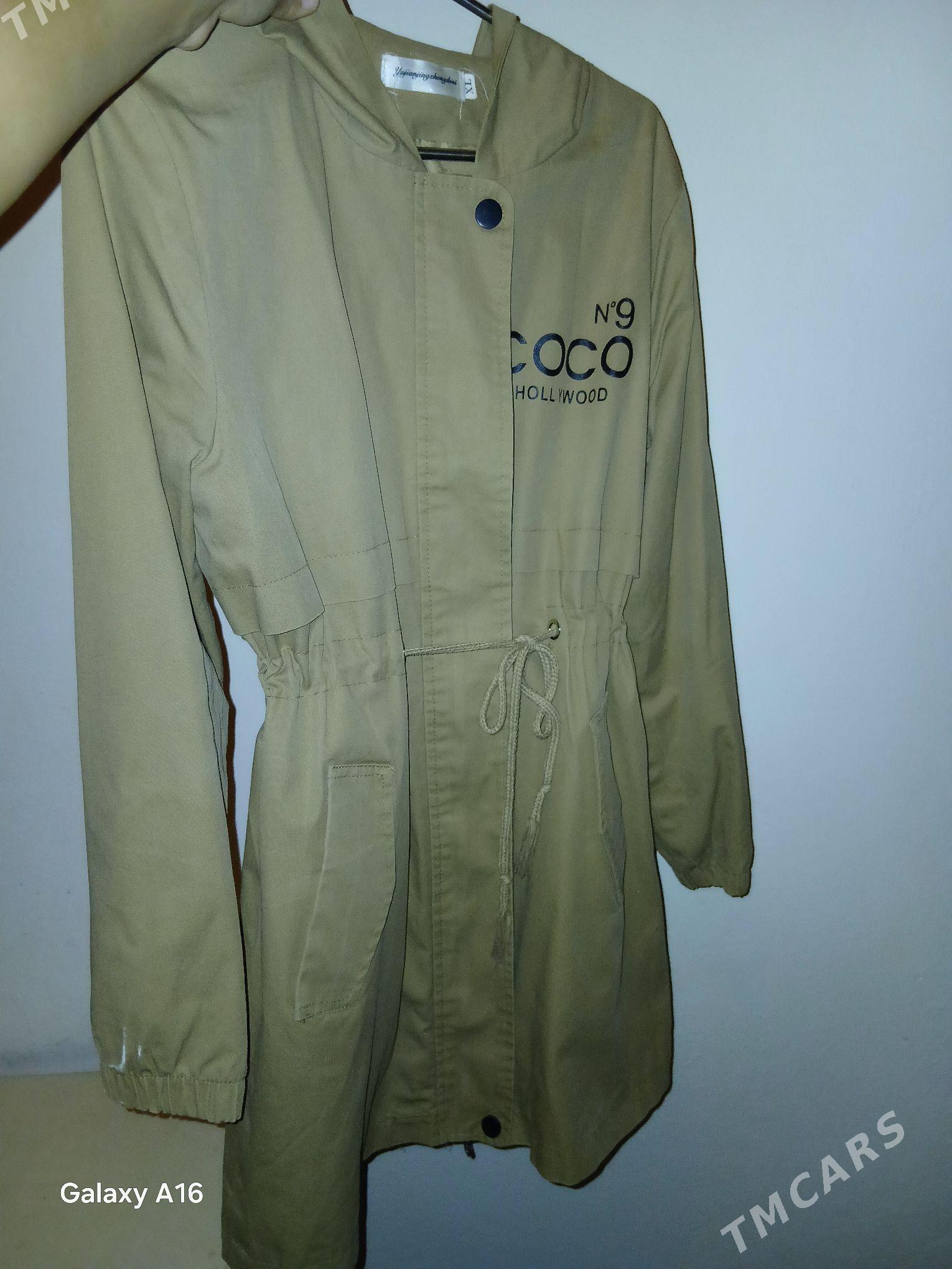 Plaş - Daşoguz - img 4