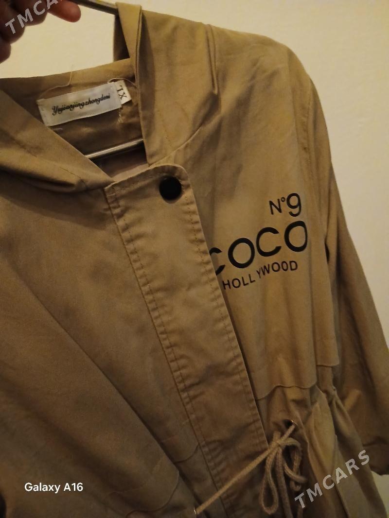 Plaş - Daşoguz - img 3