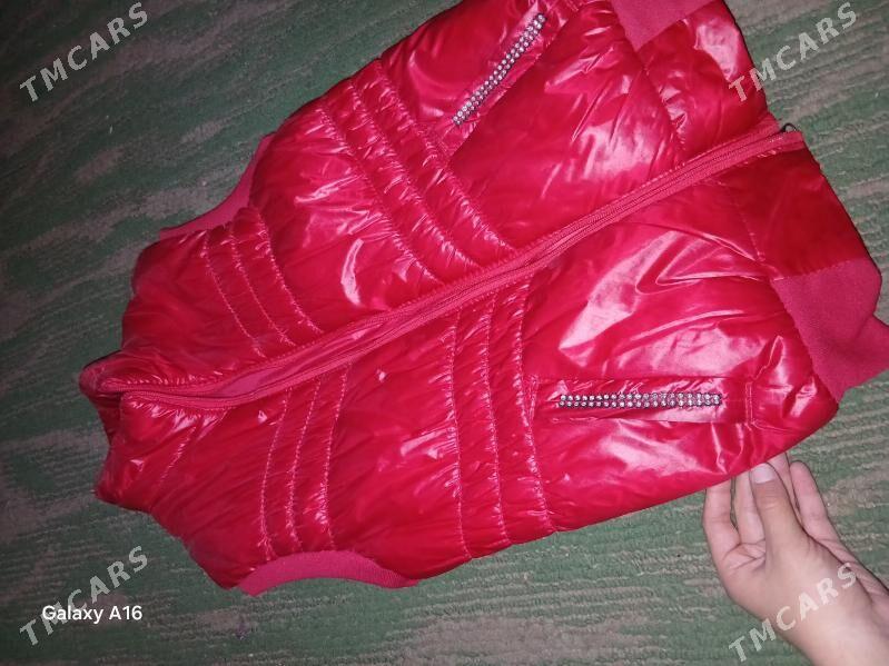 Ýeňsiz - Daşoguz - img 2