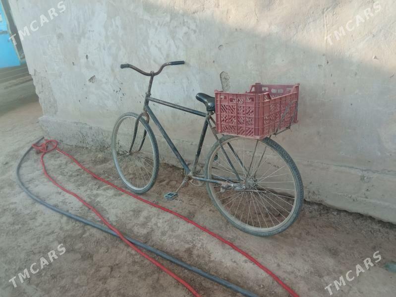 welosoped - Boldumsaz - img 2