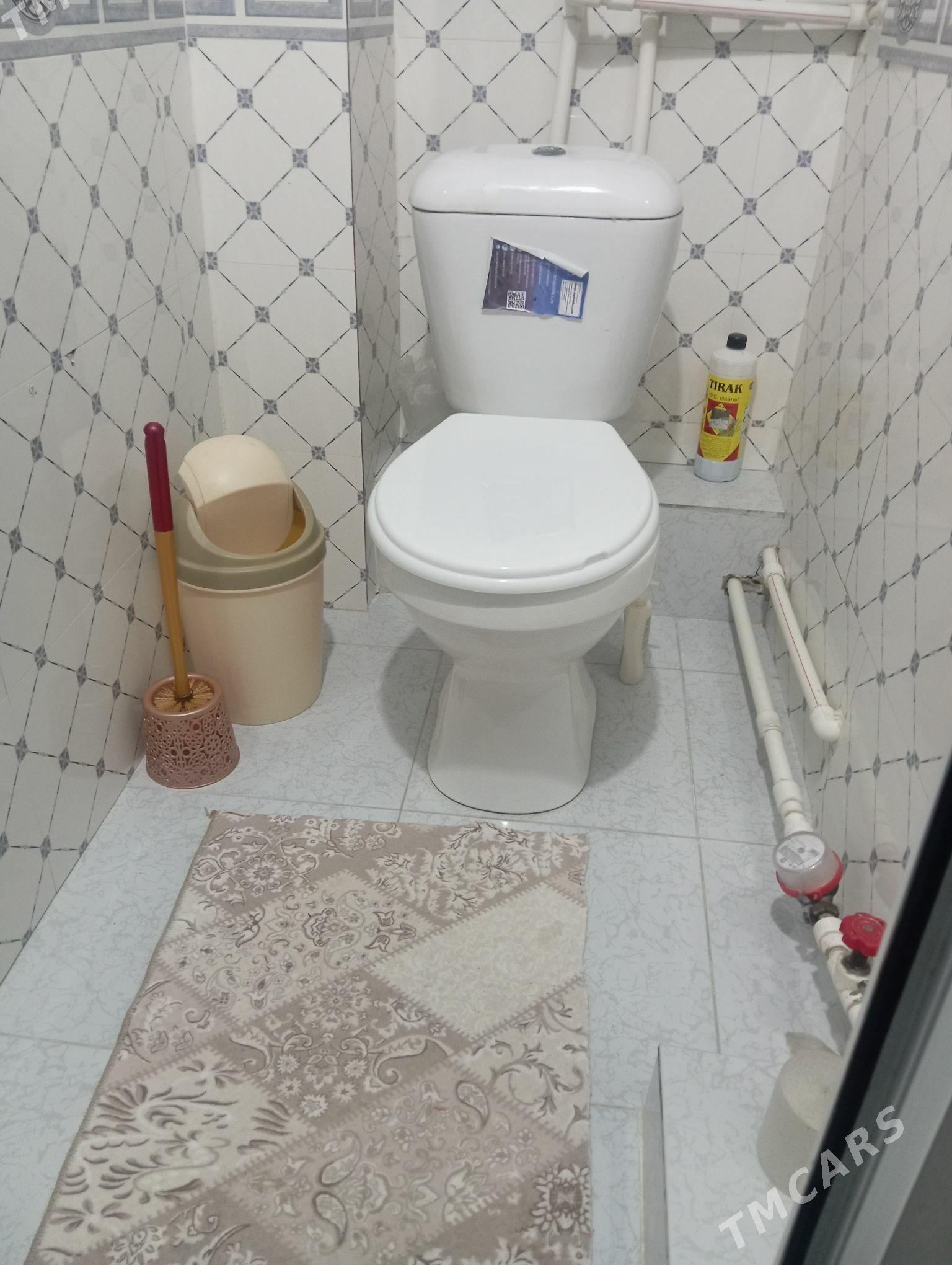 satlyk jay - Büzmeýin GRES - img 4