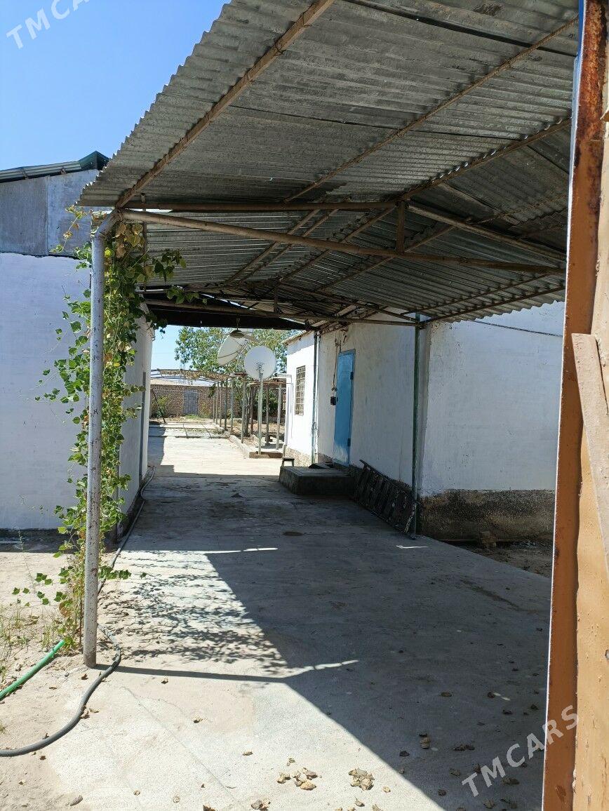 дача daça - Анев - img 2