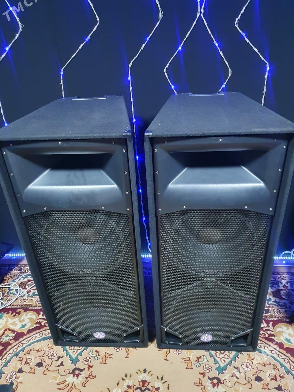 PEAVEY SP4 - Туркменбаши - img 9