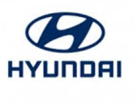 11-15 Elantra Zapcaslar 100 TMT - Bedew - img 1