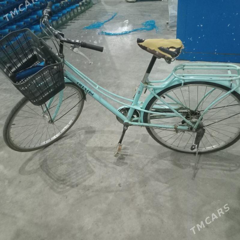 tigir - Мары - img 2