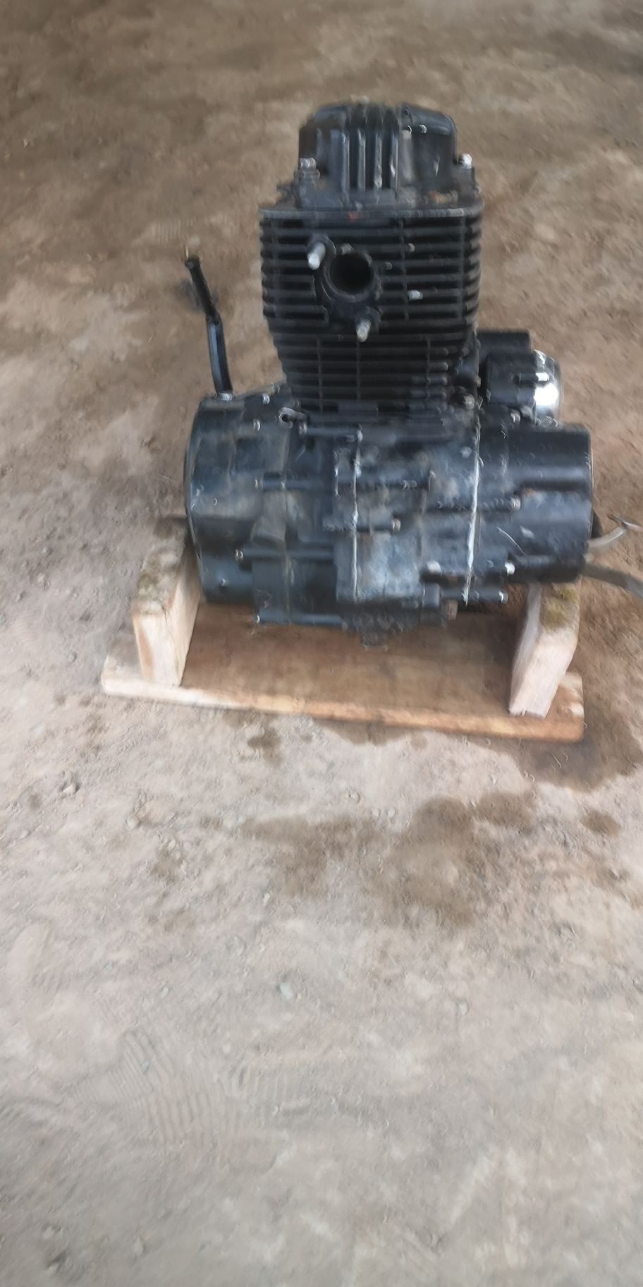 3tiger matordiwiteli 2 400 TMT - Мургап - img 1