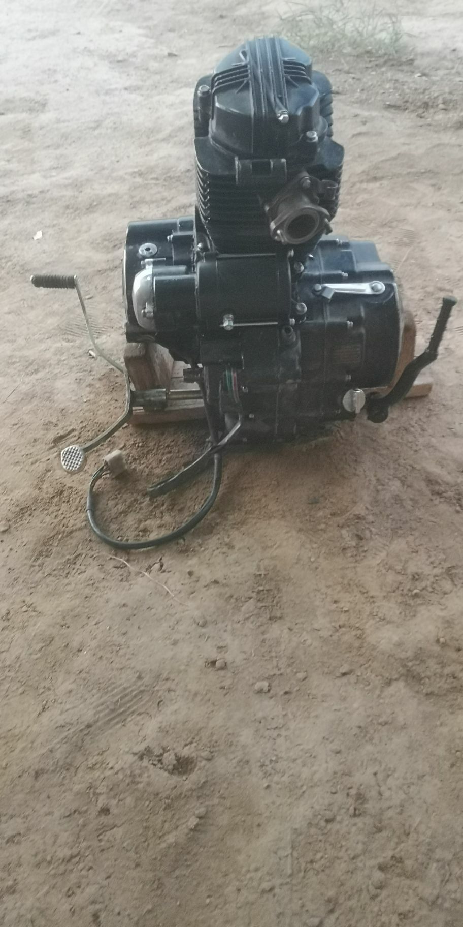 3tiger matordiwiteli 2 400 TMT - Мургап - img 4